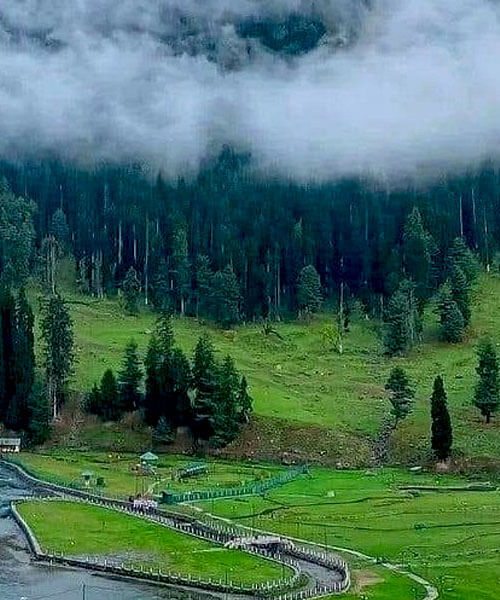 Doodhpathri