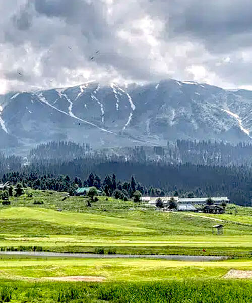 Gulmarg Golf Course (World’s highest)
