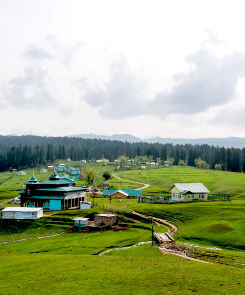 Yusmarg (Mini Switzerland of Kashmir)