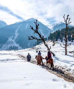 Thajiwas Glacier