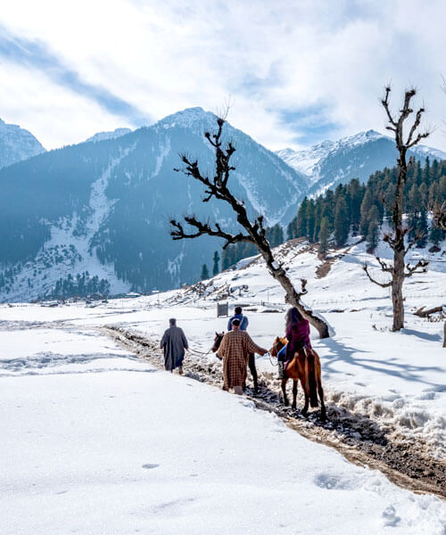 Thajiwas Glacier